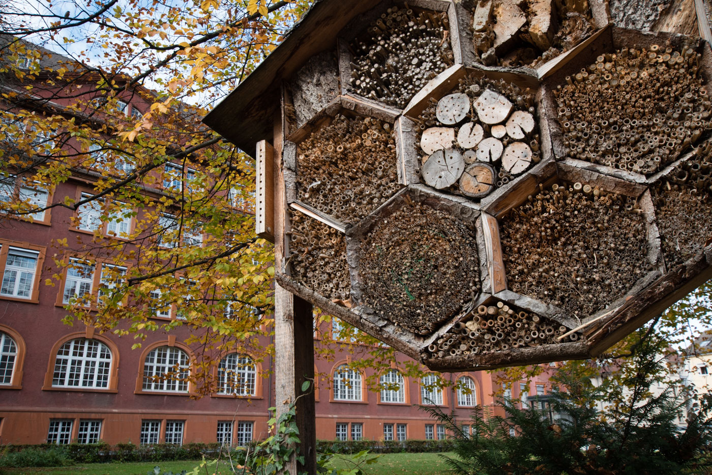 Insektenhotel beim Herderbau