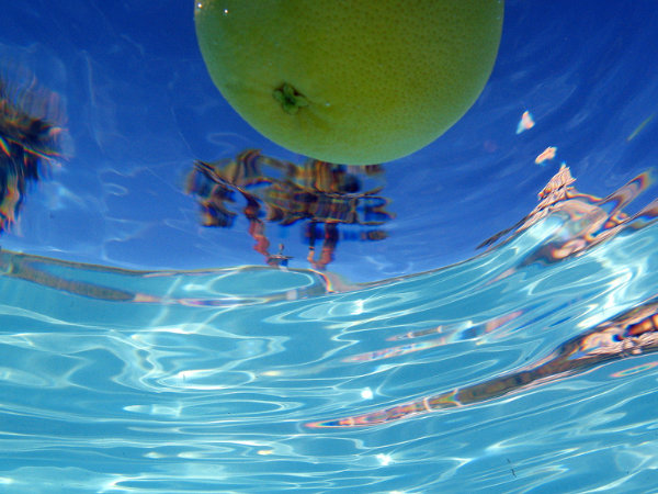 Frucht schwimmt in Swimming Pool