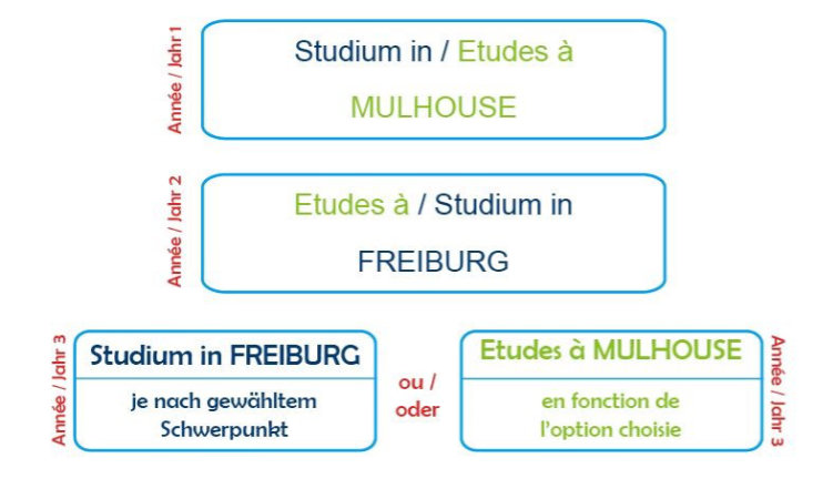 Grafische Darstellung des Studienverlaufs Regio Chimica