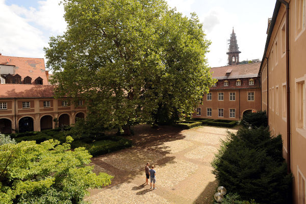 UCF - University College Freiburg