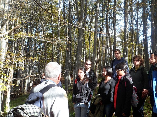 Exkursion im Wald, Professor hält Vortrag