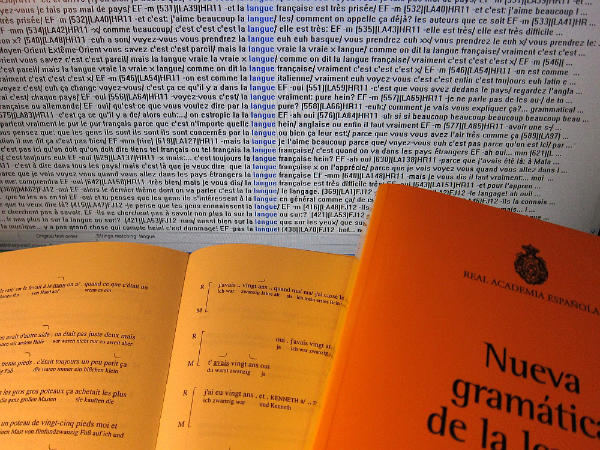 Spanische Grammatikbücher vor einem PC