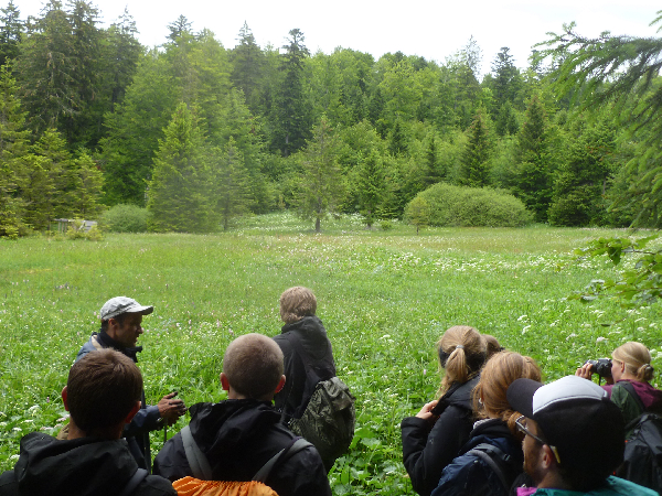 Exkursionsgruppe in einem Moorgebiet.