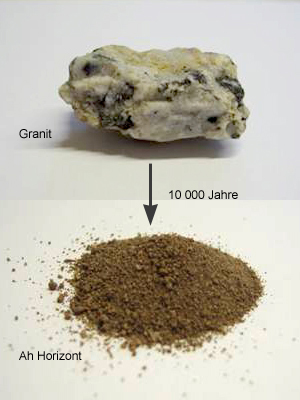Darstellung der Verwitterung von Granit zu Boden
