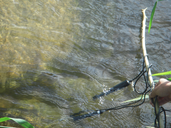 Testmessung der Wasserqualität