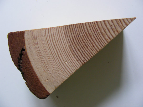 Holzblock im Querschnitt